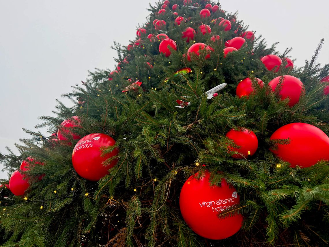 Looking up at the Christmas tree decorations that are hanging in the branches.