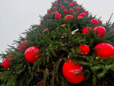 Looking up at the Christmas tree decorations that are hanging in the branches.