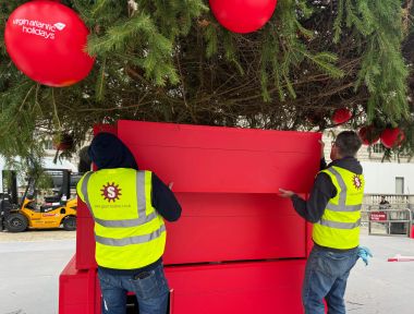 Lifting the Suitcases in place around the base of the tree.